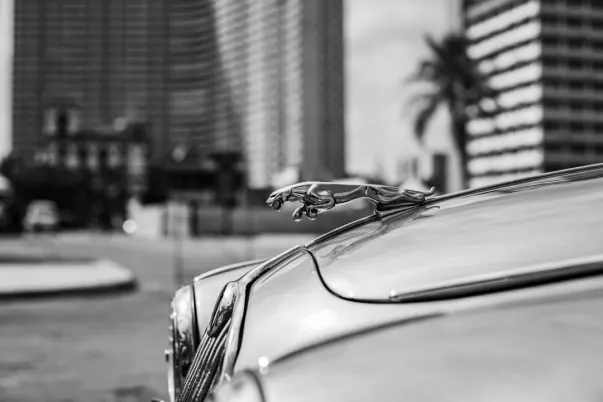 ウェイジャーウェブ カジノ Android/iOS アプリ